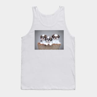 Shih Tzu puppies Tank Top